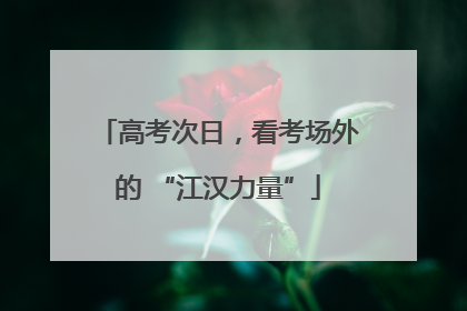 高考次日，看考场外的 “江汉力量”