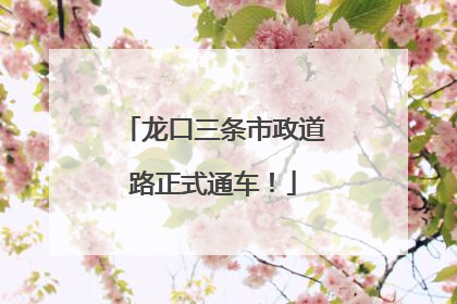 龙口三条市政道路正式通车！