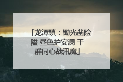 龙潭镇：锄光凿险隘 昼色护安澜 干群同心战汛魔