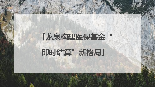龙泉构建医保基金“即时结算”新格局