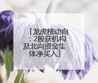 龙虎榜动向：2股获机构及北向资金集体净买入