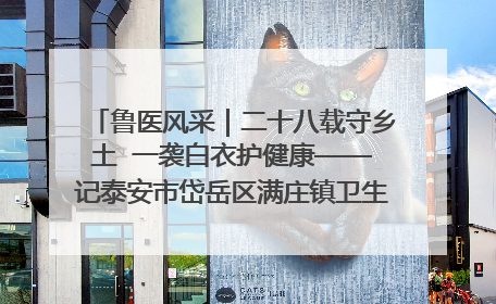 鲁医风采｜二十八载守乡土  一袭白衣护健康——记泰安市岱岳区满庄镇卫生院院长、主任医师张宝喜