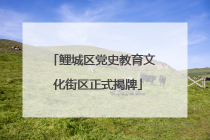 鲤城区党史教育文化街区正式揭牌