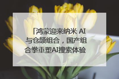 鸿蒙迎来纳米 AI 与仓颉组合，国产组合拳重塑AI搜索体验｜新经济观察