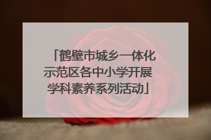鹤壁市城乡一体化示范区各中小学开展学科素养系列活动