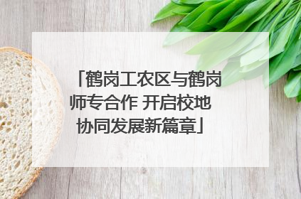 鹤岗工农区与鹤岗师专合作 开启校地协同发展新篇章