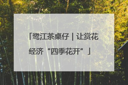 鹭江茶桌仔｜让赏花经济“四季花开”