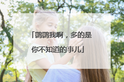 鹮鹮我啊，多的是你不知道的事儿