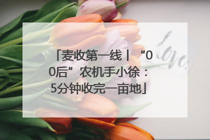 麦收第一线丨“00后”农机手小徐：5分钟收完一亩地