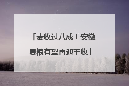 麦收过八成！安徽夏粮有望再迎丰收