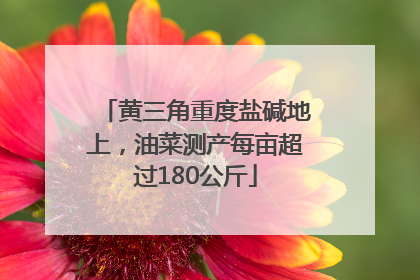黄三角重度盐碱地上，油菜测产每亩超过180公斤