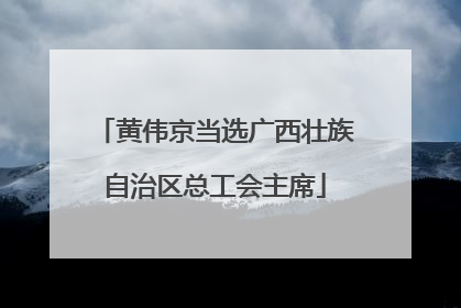 黄伟京当选广西壮族自治区总工会主席