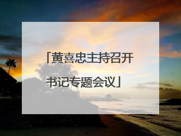 黄喜忠主持召开书记专题会议