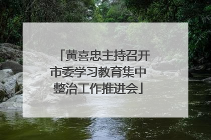 黄喜忠主持召开市委学习教育集中整治工作推进会