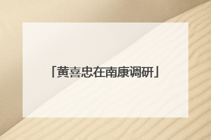 黄喜忠在南康调研
