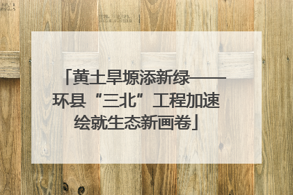 黄土旱塬添新绿——环县“三北”工程加速绘就生态新画卷