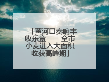 黄河口奏响丰收乐章——全市小麦进入大面积收获高峰期