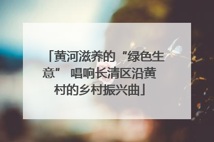 黄河滋养的“绿色生意” 唱响长清区沿黄村的乡村振兴曲