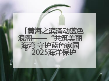 黄海之滨涌动蓝色浪潮——“共筑美丽海湾 守护蓝色家园”2025海洋保护净滩活动暨“美丽江苏—江河湖海青蓝行”海洋篇在连云港举行