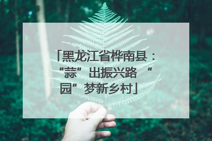 黑龙江省桦南县：“蒜”出振兴路 “园”梦新乡村