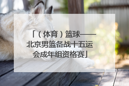 （体育）篮球——北京男篮备战十五运会成年组资格赛