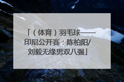 （体育）羽毛球——印尼公开赛：陈柏阳/刘毅无缘男双八强