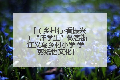 （乡村行·看振兴）“洋学生”做客浙江义乌乡村小学 学剪纸悟文化