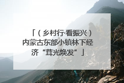 （乡村行·看振兴）内蒙古东部小镇林下经济“茸光焕发”