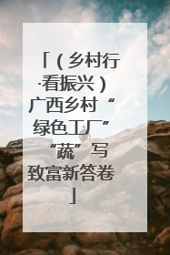 （乡村行·看振兴）广西乡村“绿色工厂” “蔬”写致富新答卷