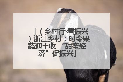 （乡村行·看振兴）浙江乡村：时令果蔬迎丰收 “甜蜜经济”促振兴