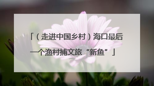 （走进中国乡村）海口最后一个渔村捕文旅“新鱼”