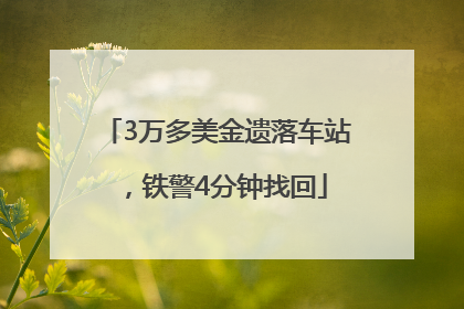 3万多美金遗落车站，铁警4分钟找回