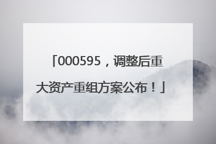 000595，调整后重大资产重组方案公布！