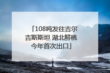 108吨发往吉尔吉斯斯坦 湖北鲜桃今年首次出口