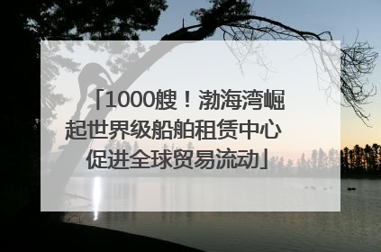 1000艘！渤海湾崛起世界级船舶租赁中心 促进全球贸易流动