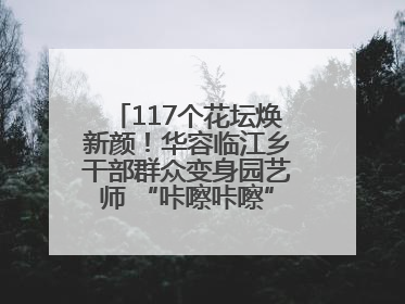 117个花坛焕新颜！华容临江乡干部群众变身园艺师 “咔嚓咔嚓”省下数万元