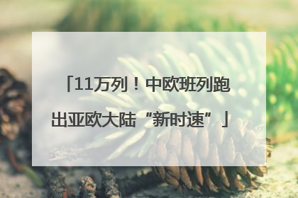 11万列！中欧班列跑出亚欧大陆“新时速”
