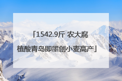 1542.9斤 农大腐植酸青岛即墨创小麦高产