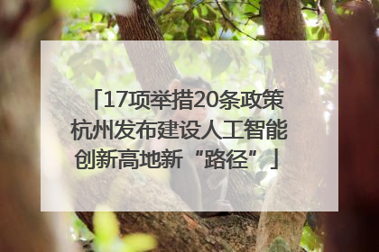 17项举措20条政策 杭州发布建设人工智能创新高地新“路径”
