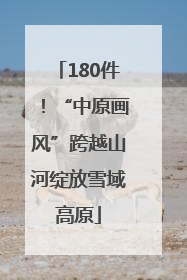 180件！“中原画风”跨越山河绽放雪域高原