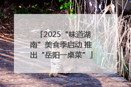 2025“味道湖南”美食季启动 推出“岳阳一桌菜”