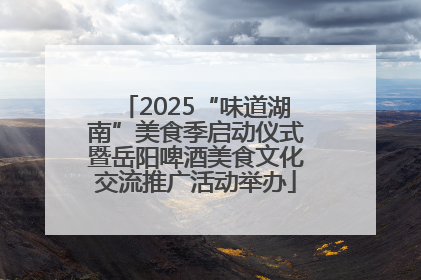2025“味道湖南”美食季启动仪式暨岳阳啤酒美食文化交流推广活动举办