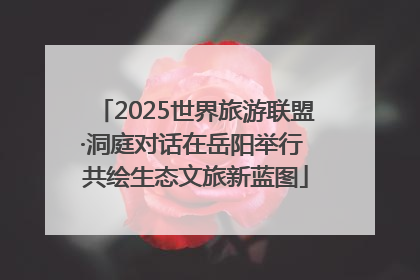 2025世界旅游联盟·洞庭对话在岳阳举行 共绘生态文旅新蓝图