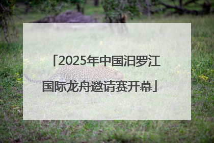 2025年中国汨罗江国际龙舟邀请赛开幕