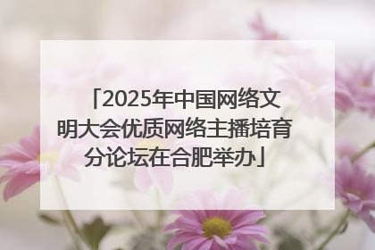 2025年中国网络文明大会优质网络主播培育分论坛在合肥举办