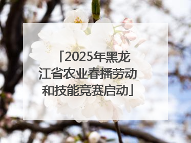 2025年黑龙江省农业春播劳动和技能竞赛启动