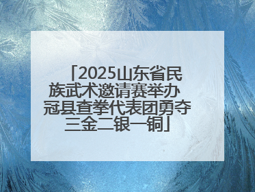 2025山东省民族武术邀请赛举办 冠县查拳代表团勇夺三金二银一铜