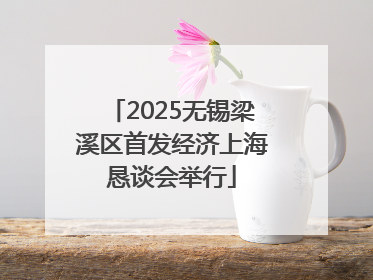 2025无锡梁溪区首发经济上海恳谈会举行