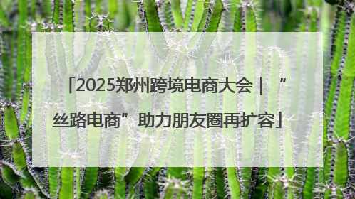2025郑州跨境电商大会｜“丝路电商”助力朋友圈再扩容