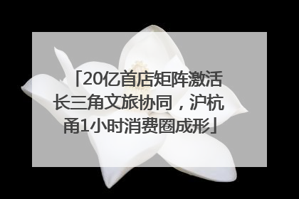 20亿首店矩阵激活长三角文旅协同，沪杭甬1小时消费圈成形